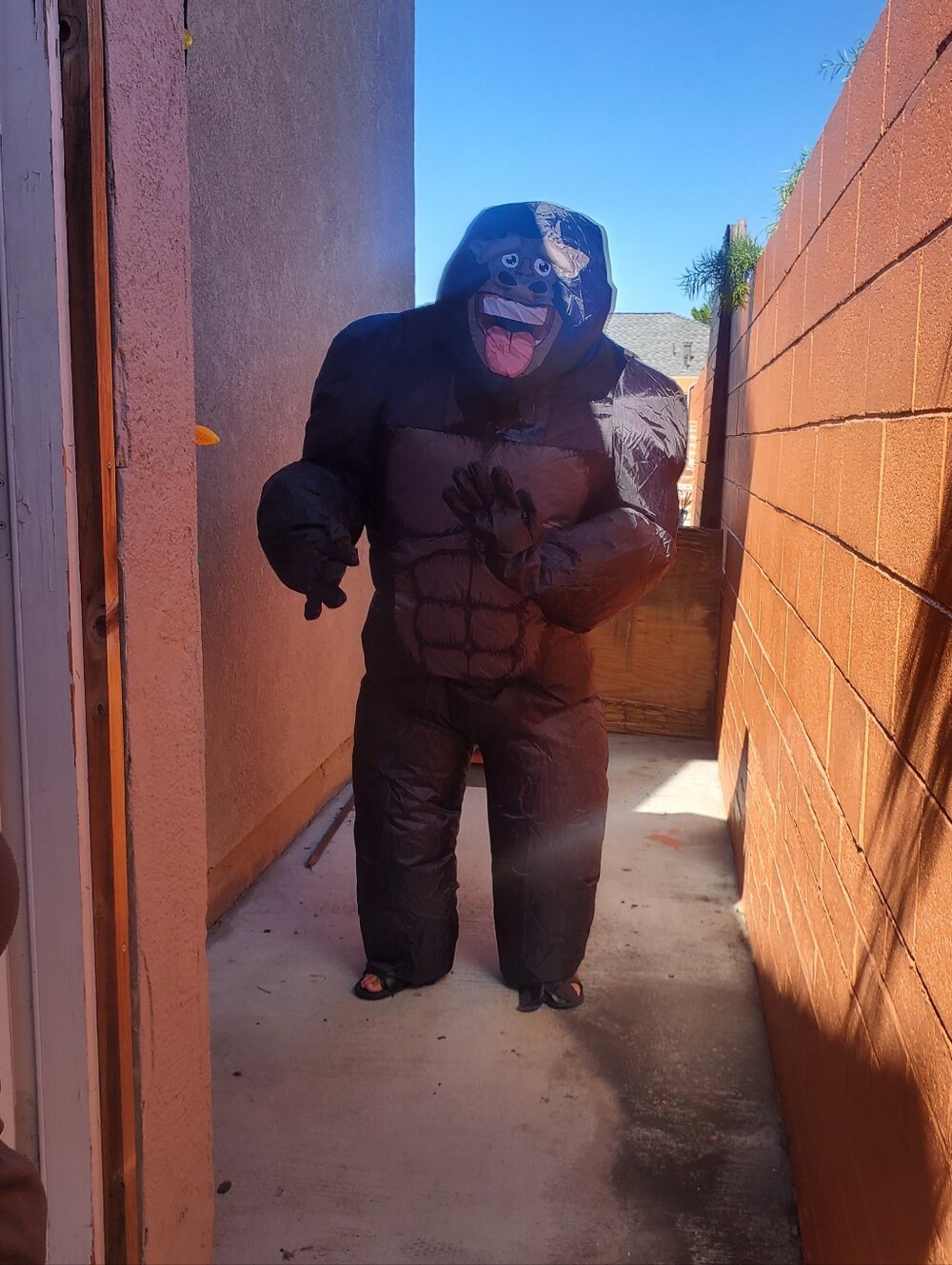 Gorilla Inflatable Costume - Picture 3 of 4